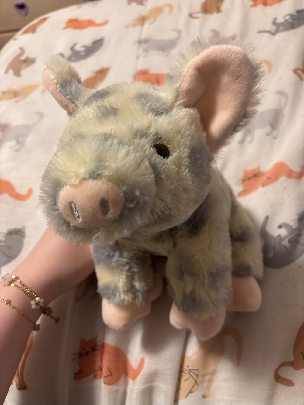 pig plush